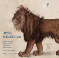 Haydn - The Creation | Fra Bernardo FB1301272