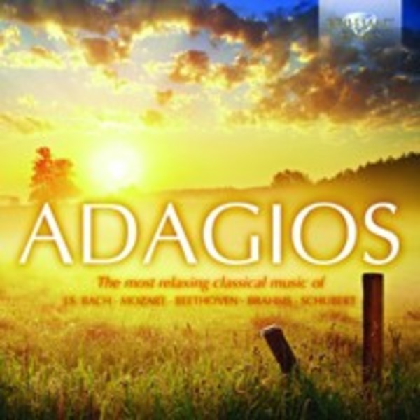 Adagios | Brilliant Classics 94994