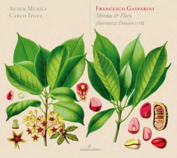 Francesco Gasparini - Mirena & Floro | Glossa - Cabinet GCDC80016