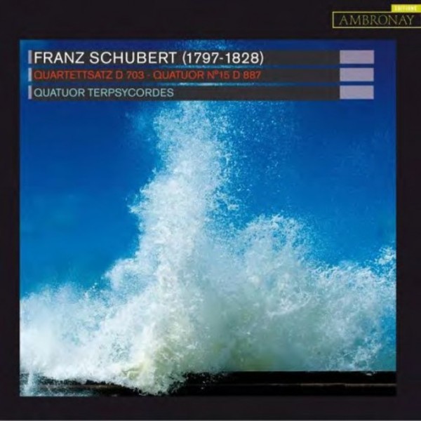 Schubert - String Quartet No.15, Quartettsatz | Ambronay AMY044