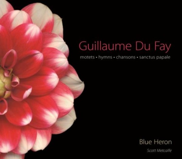 Guillaume Du Fay - Motets, Hymns, Chansons, Sanctus Papale | Blue Heron BHCD1001