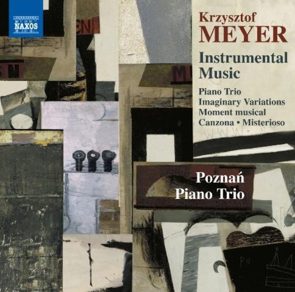 Krzysztof Meyer - Instrumental Music | Naxos 8573500