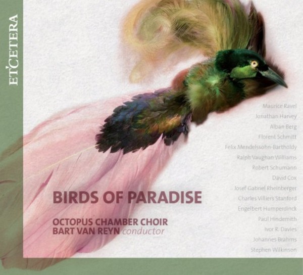 Octopus Chamber Choir: Birds of Paradise