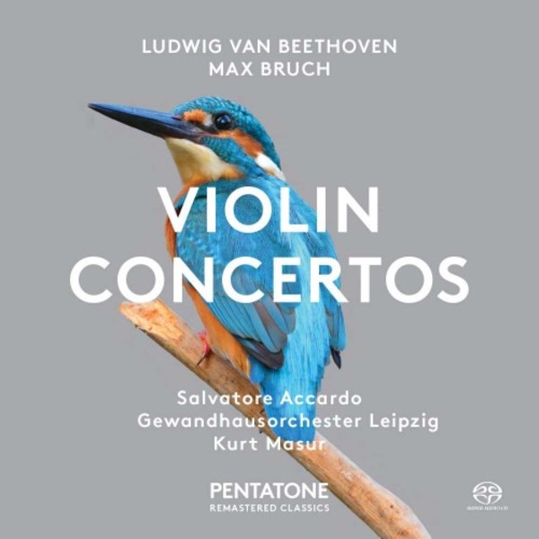 Beethoven & Bruch - Violin Concertos | Pentatone PTC5186237