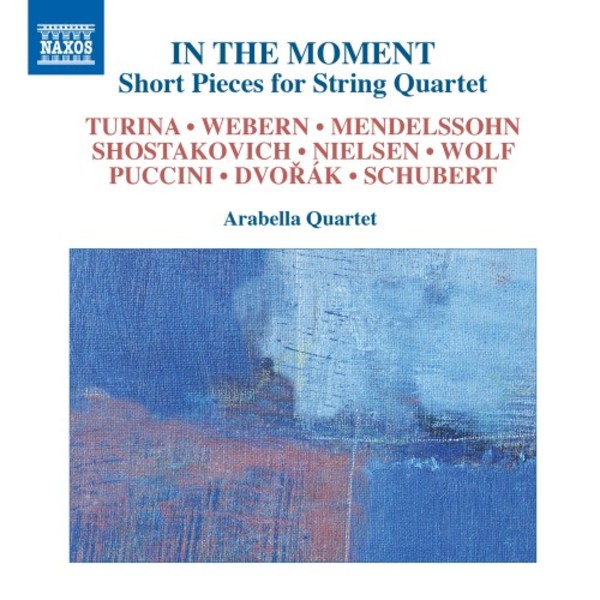 In the Moment: Short Pieces for String Quartet | Naxos 8579013