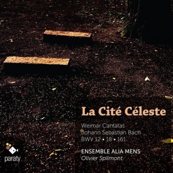 La Cite Celeste: JS Bach - Weimar Cantatas | Paraty PARATY916157