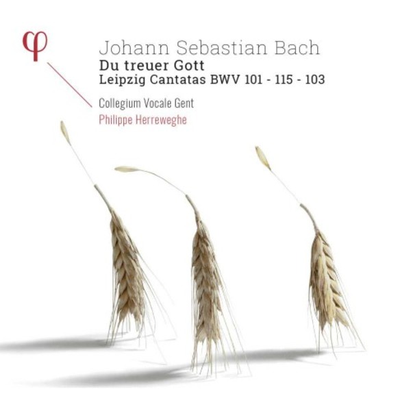 JS Bach - Du treuer Gott: Leipzig Cantatas BWV 101, 115, 103