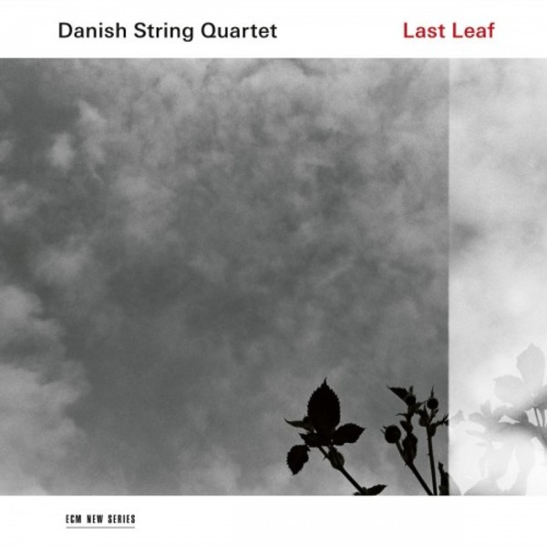 Danish String Quartet: Last Leaf | ECM New Series 4815746