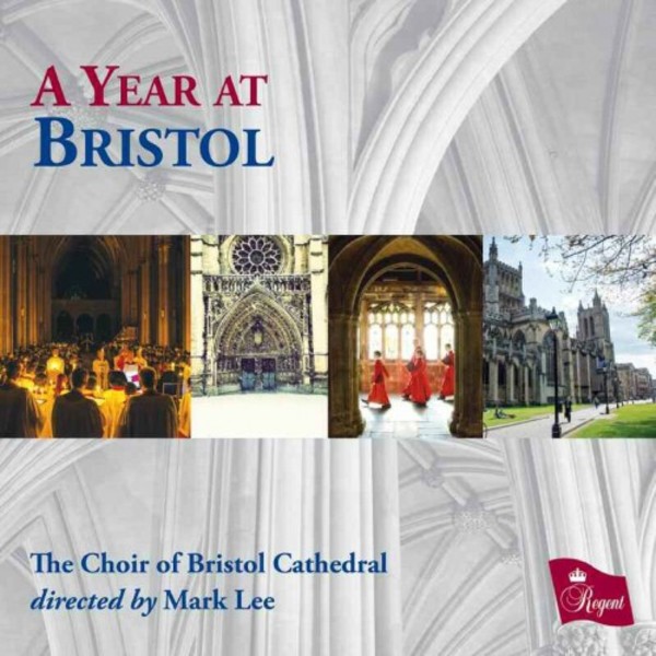 A Year at Bristol