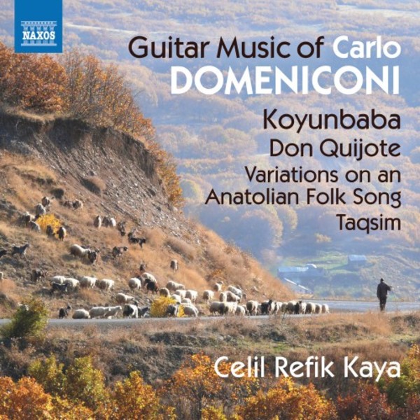 Domeniconi - Guitar Music
