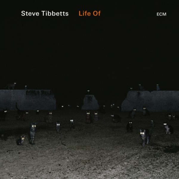 Steve Tibbetts - Life Of
