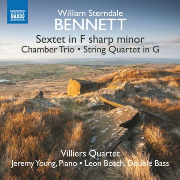 Sterndale Bennett - Sextet in F sharp minor, Chamber Trio, String Quartet in G | Naxos 8571379