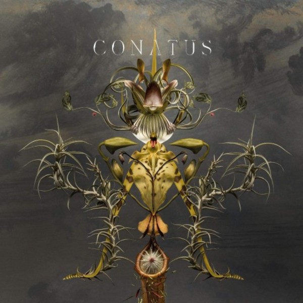 Joep Beving - Conatus (LP)