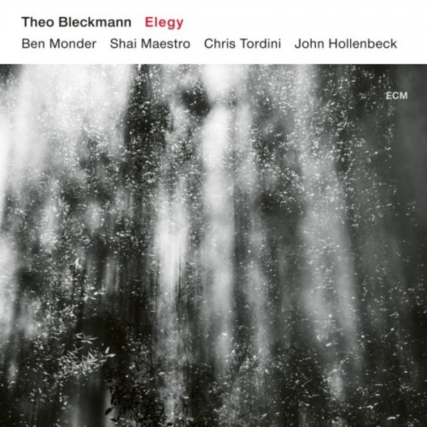 Theo Bleckmann: Elegy