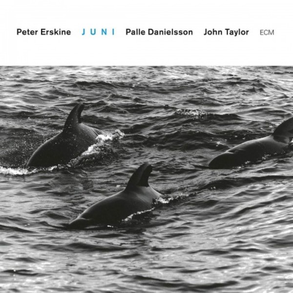 Peter Erskine Trio: Juni | ECM 6743481