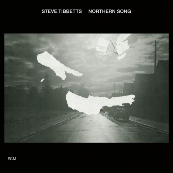 Steve Tibbetts - Northern Song | ECM 6743489