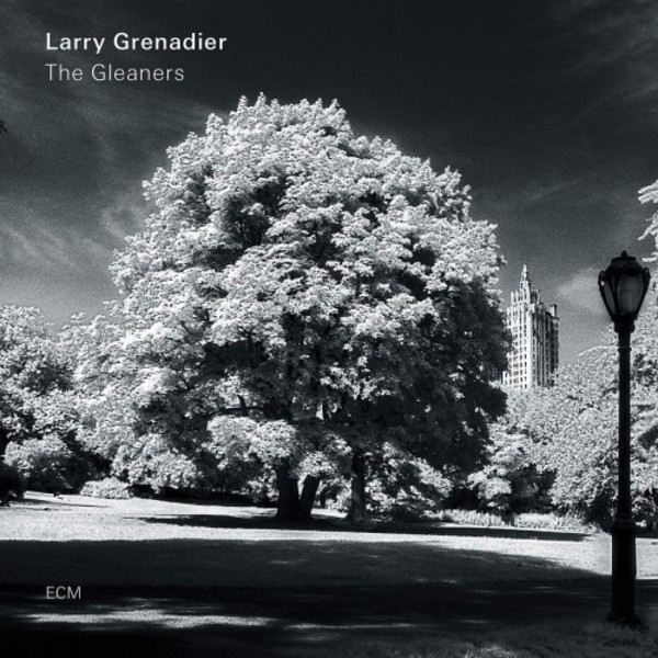 Larry Grenadier: The Gleaners (Vinyl LP)