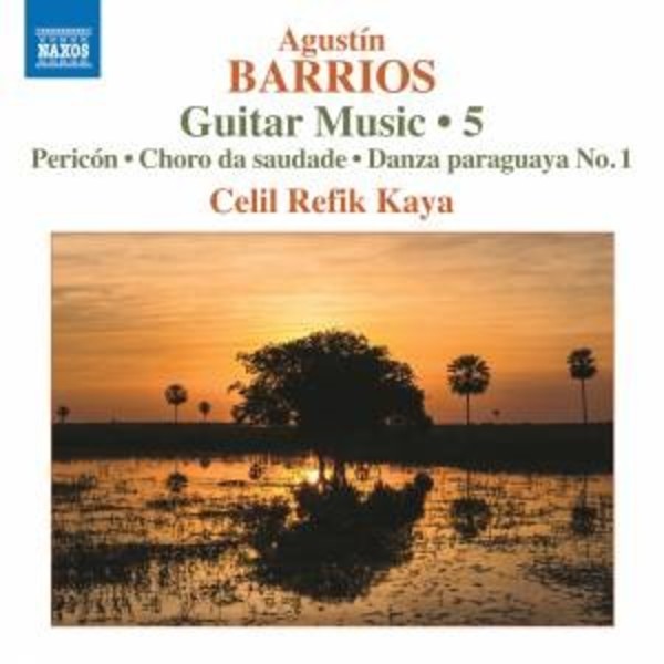Barrios Mangore - Guitar Music Vol.5 | Naxos 8573898