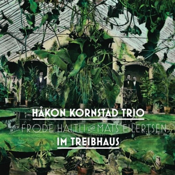 Hakon Kornstad Trio: Im Treibhaus