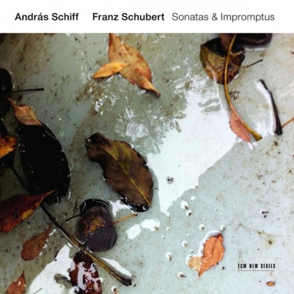 Schubert - Piano Sonatas & Impromptus