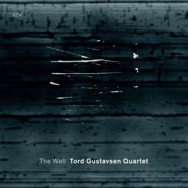 Tord Gustavsen Quartet: The Well
