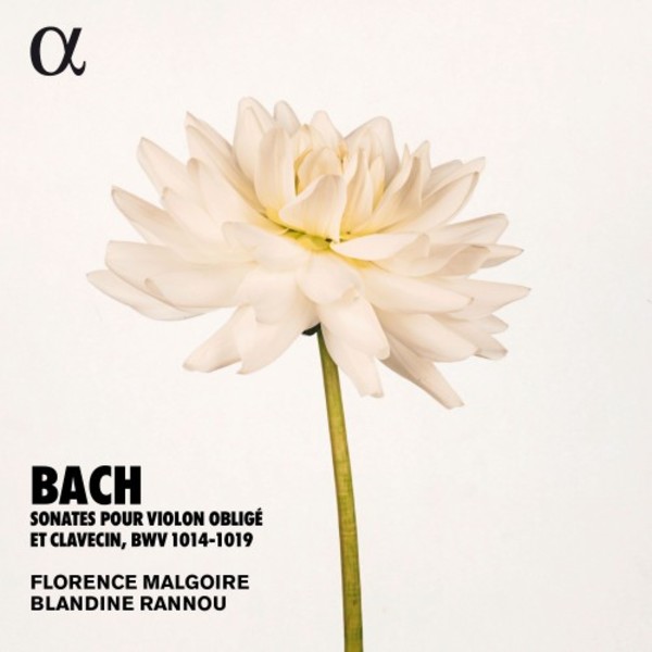 JS Bach - Sonatas for Violin & Harpsichord, BWV1014-1019