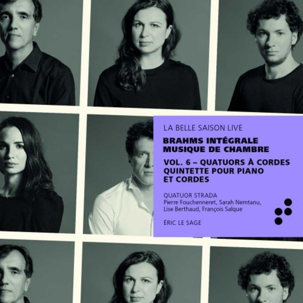 Brahms - Complete Chamber Music Vol.6: String Quartets, Piano Quintet