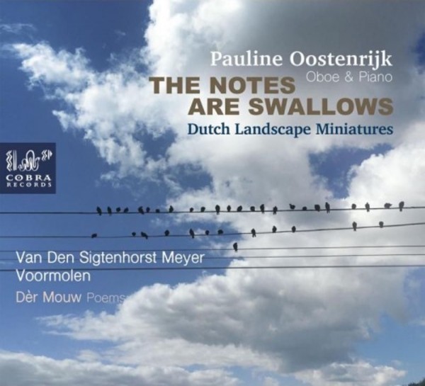 The Notes are Swallows: Dutch Landscape Miniatures | Cobra COBRA0072
