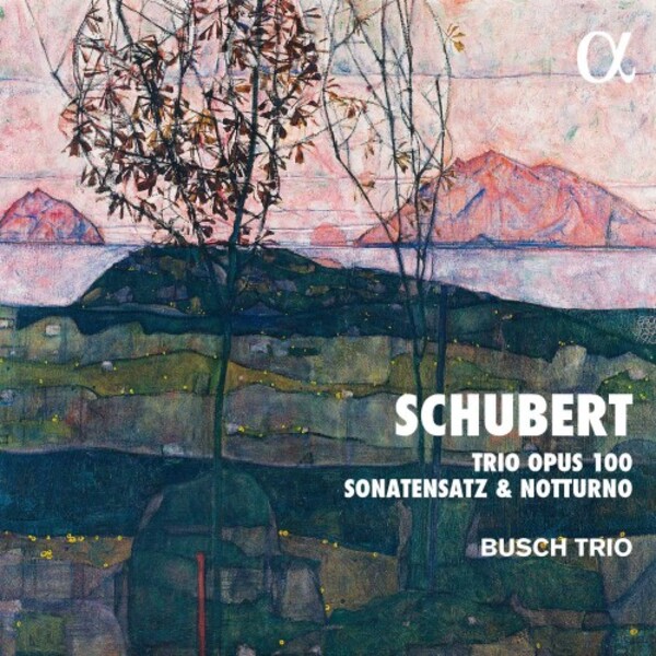 Schubert - Piano Trio no.2, Sonatensatz, Notturno