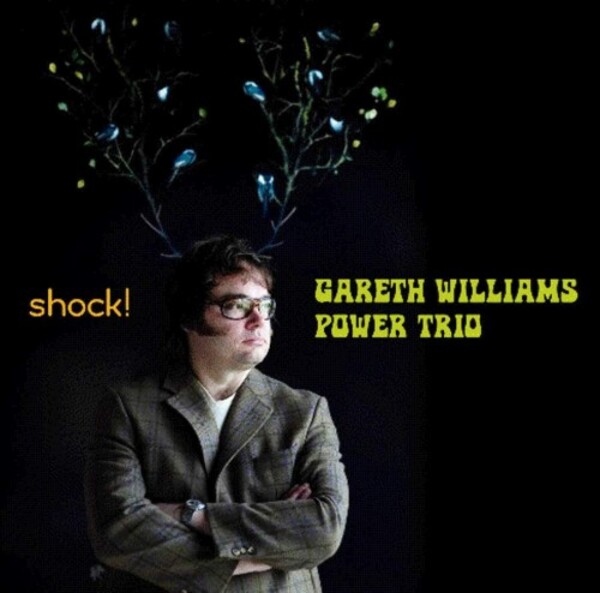 Gareth Williams Power Trio: Shock | Linn AKD326