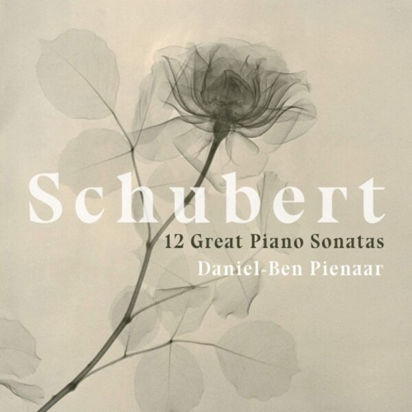 Schubert - 12 Great Piano Sonatas