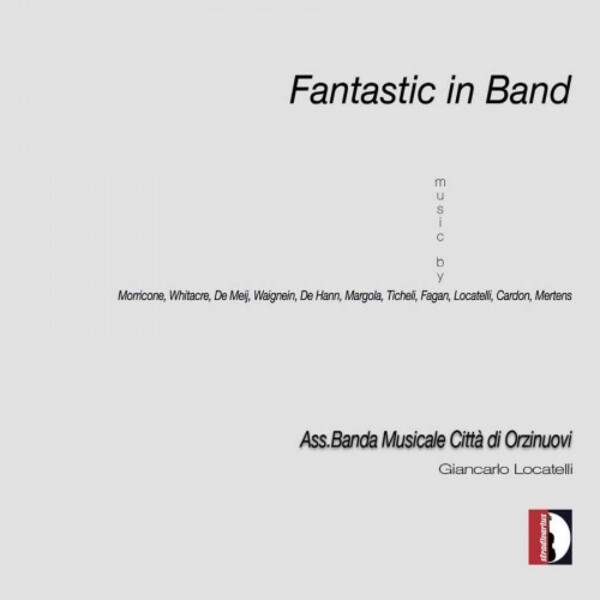 Fantastic in Band | Stradivarius STR37026