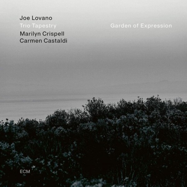 Joe Lovano: Garden of Expression (Vinyl LP)