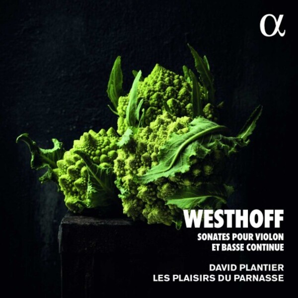 Westhoff - Sonatas for Violin & Continuo | Alpha ALPHA621