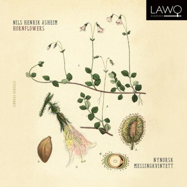Asheim - Hornflowers | Lawo Classics LWC1221