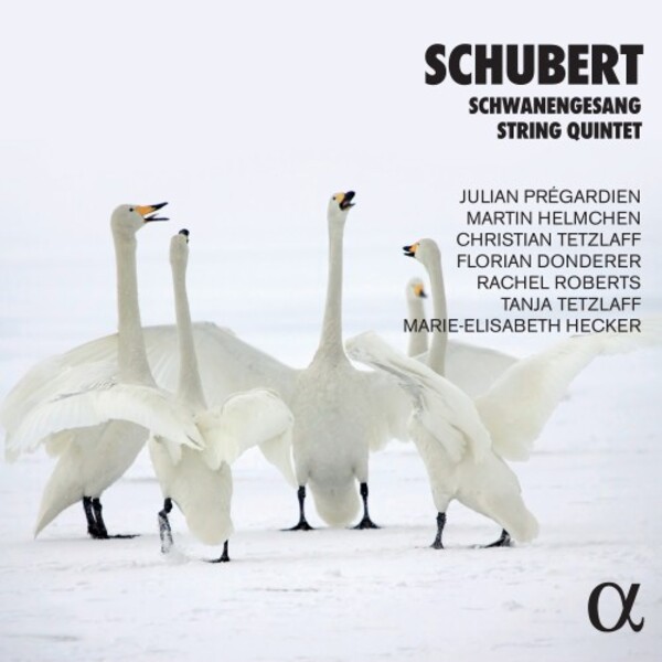 Schubert - Schwanengesang, String Quintet | Alpha ALPHA748