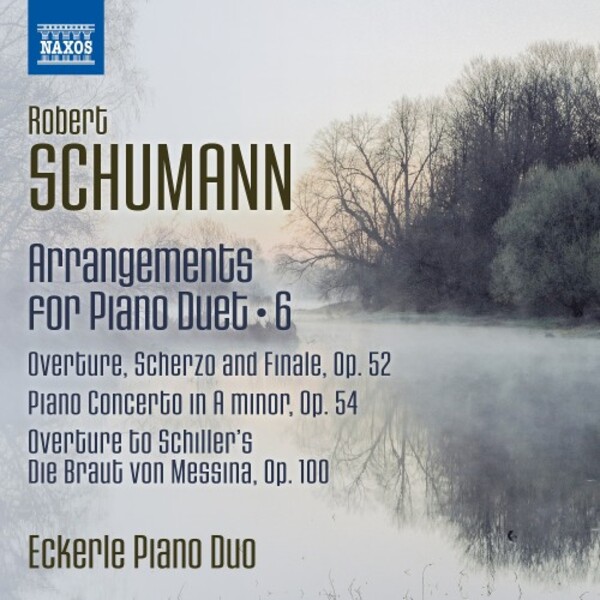 Schumann - Arrangements for Piano Duet Vol.6 | Naxos 8572882