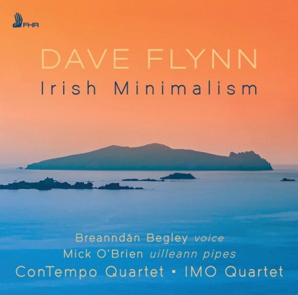 D Flynn - Irish Minimalism