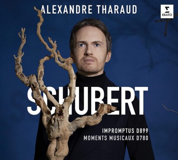 Schubert - Impromptus, Moments musicaux & Rosamunde