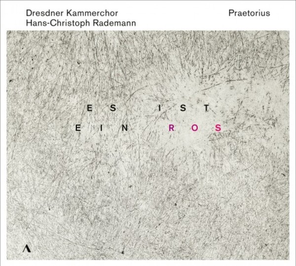 Praetorius - Es ist ein Ros: Music for Advent and Christmas