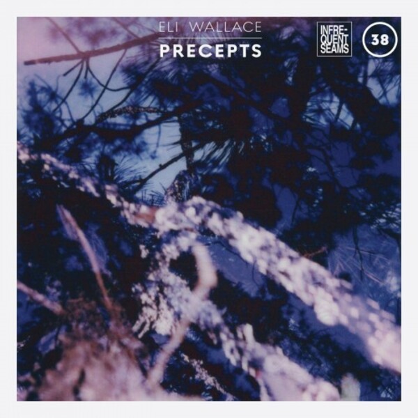 E Wallace - Precepts