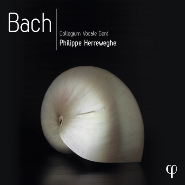 JS Bach - Mass in B Minor, St John Passion, Cantatas, Motets | Phi LPH038