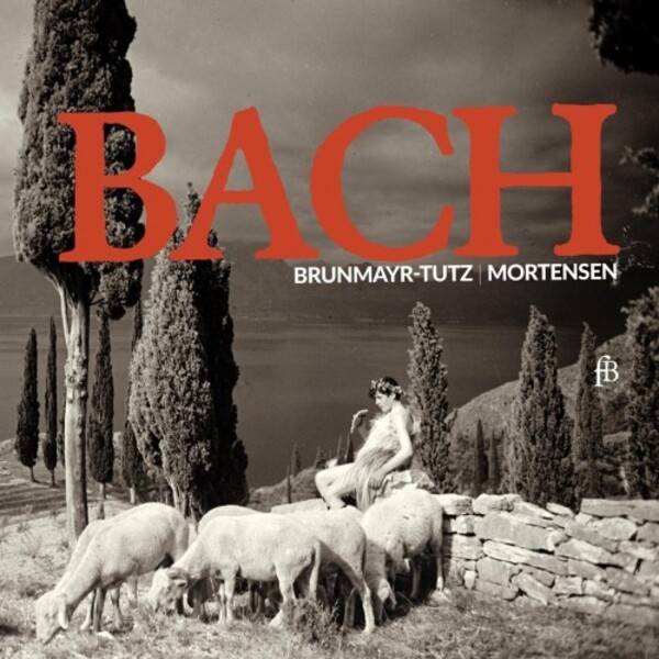 JS Bach - Flute Sonatas & Partita, Brandenburg Concerto no.6 | Fra Bernardo FB2211700