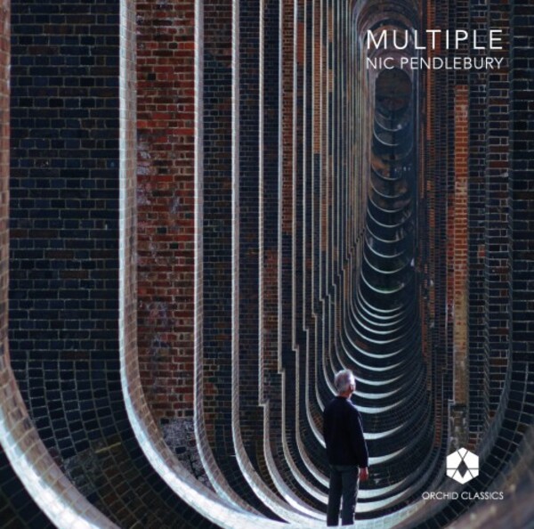 Multiple: Music for Electric Viola