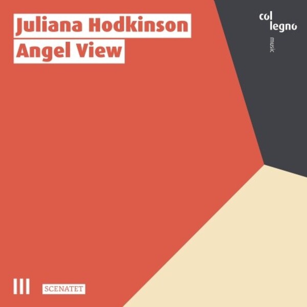 J Hodkinson - Angel View