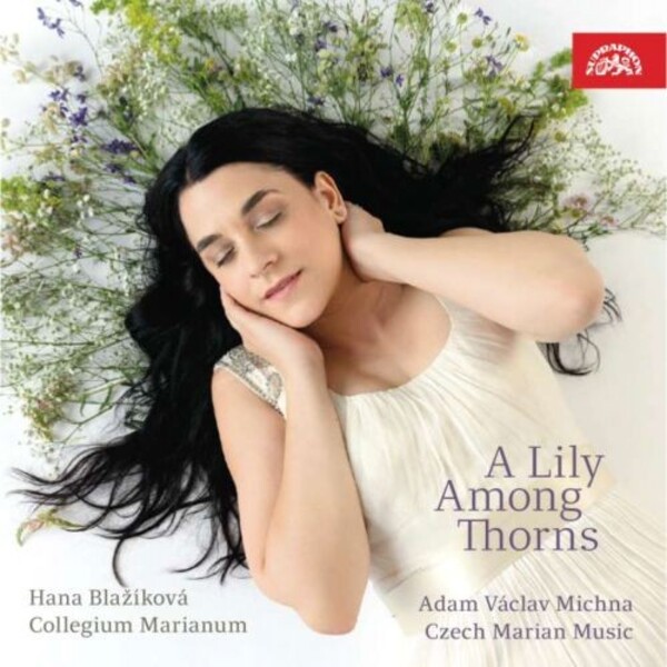 A Lily Among Thorns: Michna - Czech Marian Music