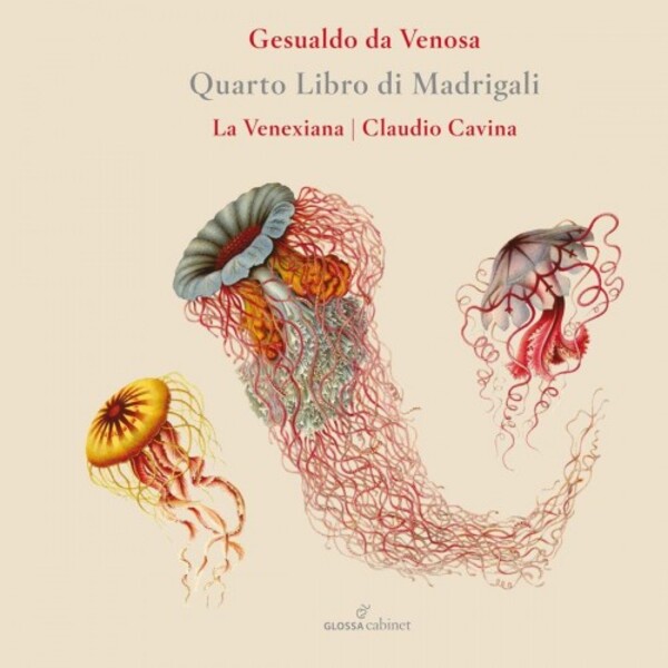 Gesualdo - Quarto Libro di Madrigali (Madrigals, Book 4)