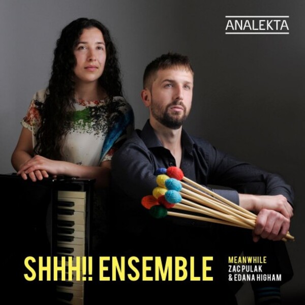 Meanwhile: Music for Percussion & Piano | Analekta AN29139
