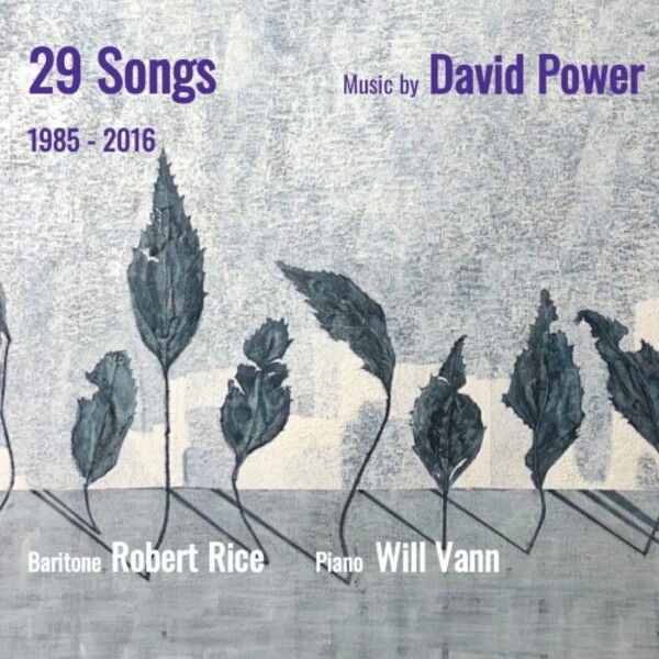 D Power - 29 Songs
