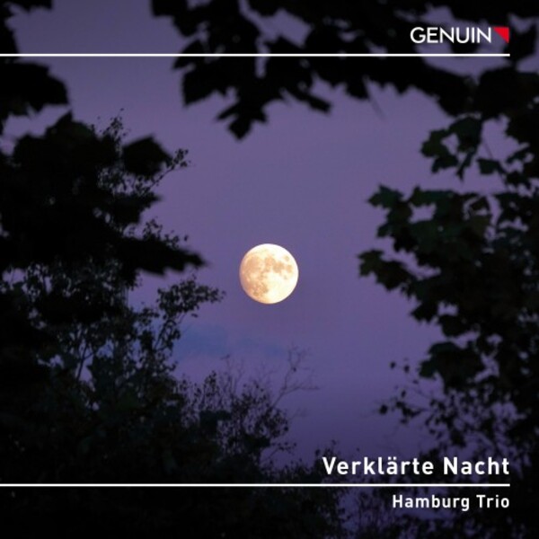 Verklarte Nacht: Works for Piano Trio by Schoenberg, Zemlinsky & Schubert | Genuin GEN23812